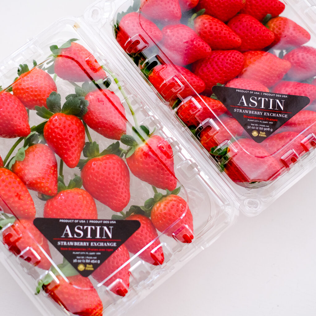 Florida Strawberry Farms Plant City Strawberries